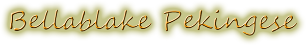 Bellablake Pekingese